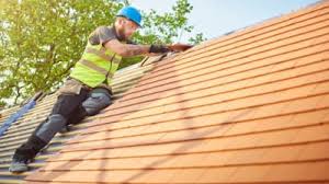 Best Sheet Metal Roofing  in Edgewater, FL