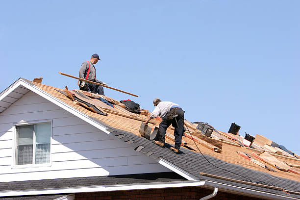 Best Skylight Installation and Repair  in Edgewater, FL
