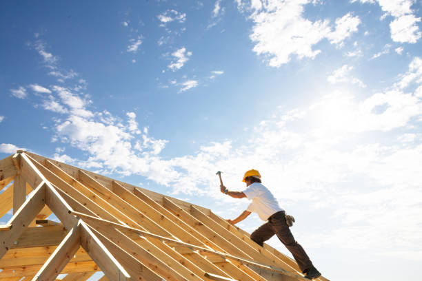 Best Emergency Roof Repair Services  in Edgewater, FL